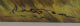 00288632_2