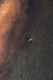 00274761_7