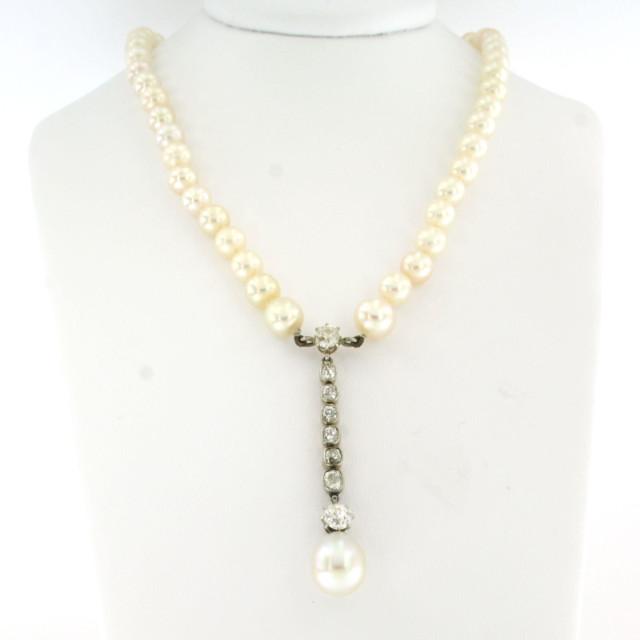 CB20251191-1-2000x2000