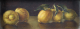 00282042