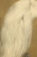 00291791_7