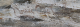 00289401_2