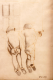 00275289