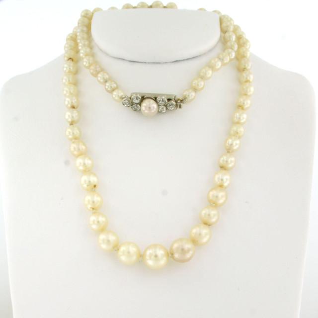 20250003-1-2000x2000