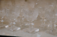 00290482_2