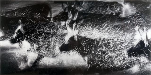 00275159