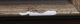 00288626_8