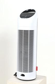 288904