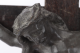 00291201_3