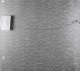 00282913_7