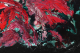 00276429_7