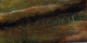 00274781_2