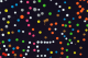 00290316_5