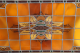 00274907_2