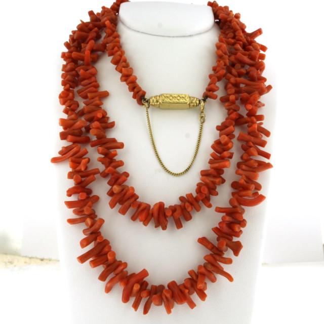 cb20250305-1-2000x2000