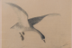 00288488_5